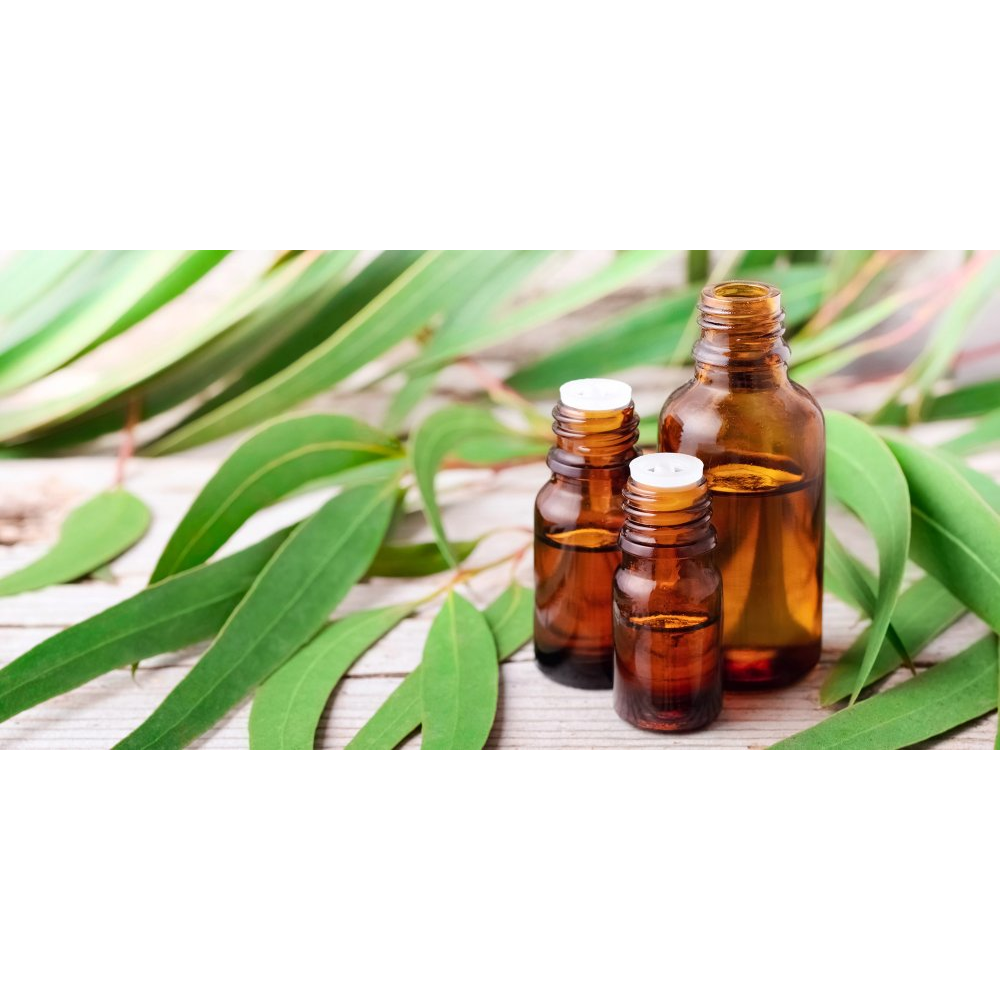 Pack de 3 Huiles Essentielles Bio - "Soutien hivernal"